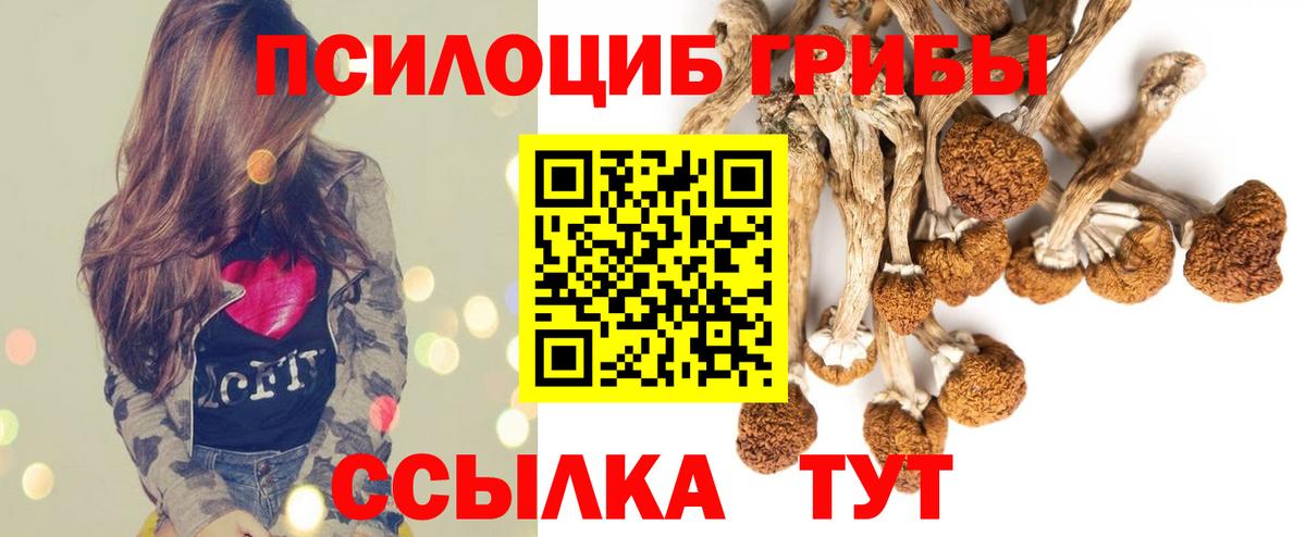 Псилоцибиновые грибы Psilocybine cubensis  Вход с VPN  Псилоцибиновые грибы Cubensis  Кинель 